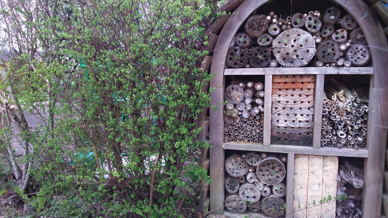 MonterolierA La Campagne, Au Calme住宿加早餐旅馆 外观 照片